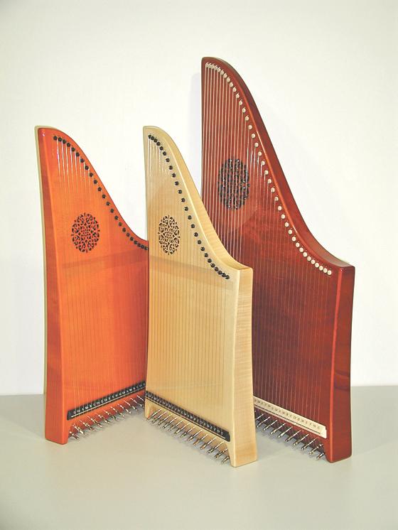 Im ASZ Bogenhausen kann man Veeh-Harfe spielen lernen .	Foto: privat