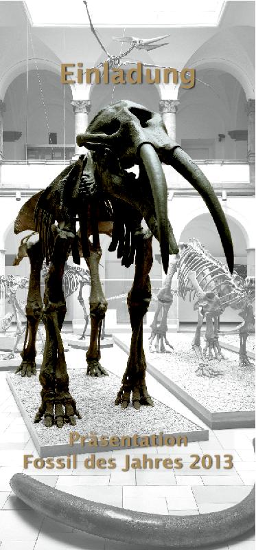 Das ist der Abguss des Ur-Elefanten, Mittelpunkt des Paläontolischen Museums in München. Dort befinden sich auch die Originalknochen. Foto: Museum