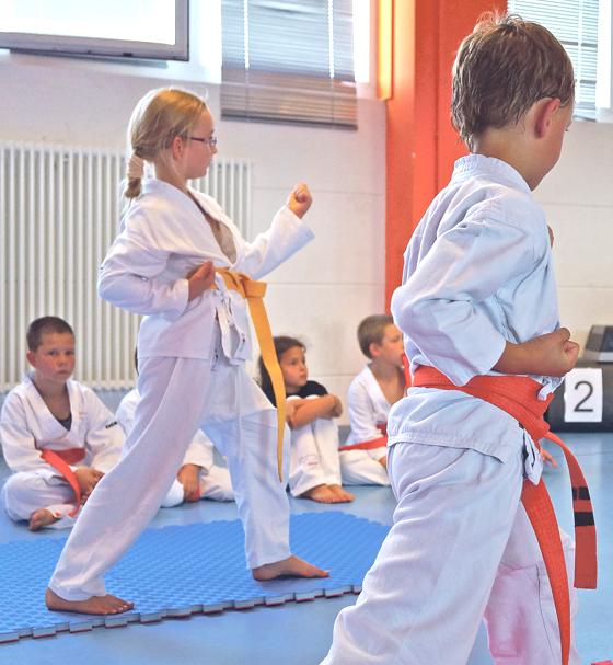 Im Karate Klub e.V. kann man ein kostenloses Schnuppertraining absolvieren.	Foto: privat