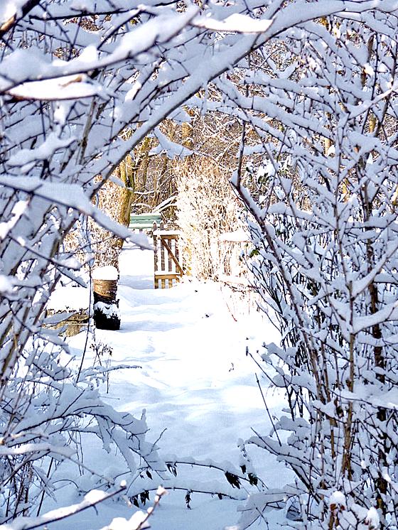 Ein Winterspaziergang durch den Garten und dann ins Café! Das geht auch bei wenig Schnee.	Foto: ÖBZ