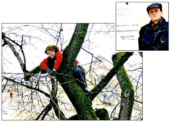 Die Aktivisten von Robin Wood wollen die Baumfällungen am Josephsplatz mit allen Mitteln verhindern. Deswegen »besetzen« sie die Bäume. Gerd Eickelberg (kl. Foto) wäre für eine gedeckelte Variante der Tiefgarage gewesen. Fotos: scy