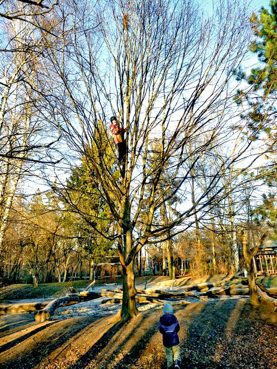 Jeder Baum ist ein Schatz. Beim Familiennachmittag im Ökologischen Bildungszentrum dreht sich alles um Bäume sowie die vier Elemente.	Foto: ÖBZ