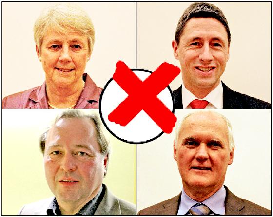 Diese vier Kandidaten stehen am Sonntag zur Wahl (v. l. o.): Brigitte Weinzierl (CSU), Christoph Böck (SPD), Martin Reichart (Freie Bürgerschaft) und Jürgen Radtke (Bündnis 90/Die Grünen).	Fotos: sl