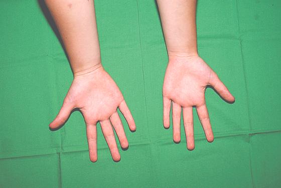 »Zwei Hände« ist eine Ausstellung von Fotografien von Händen aus der Pfarrgemeinde.	Foto: privat