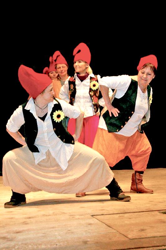 Die Steinseer Theater-Truppe zeigt ein »Fast Musical« unter dem Titel: »Märchen-Zeit«.	Foto: VA