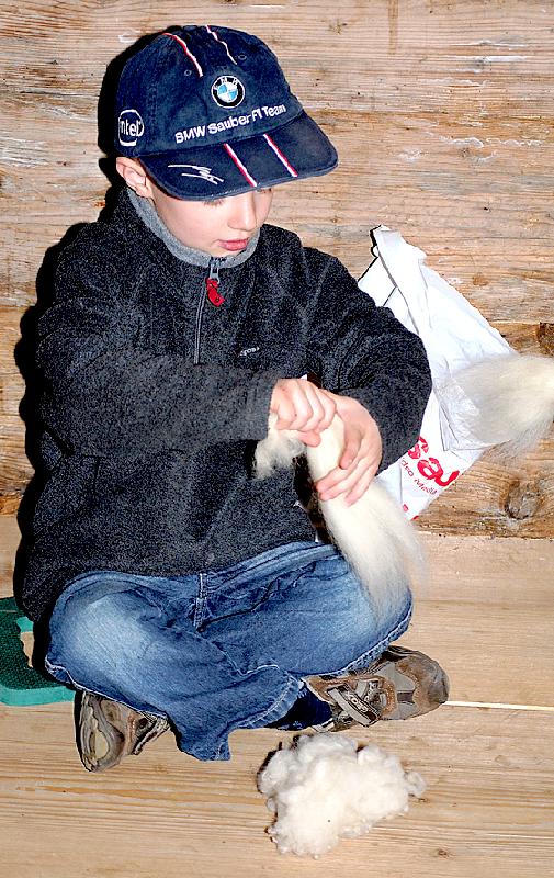 Vom Schaf zum Spinnrad: Wie Wolle entsteht können Familien am 20. April erkunden.	Foto: Museum