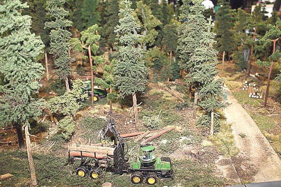 Ein Waldmodell veranschaulicht die Möglichkeiten der modernen Forstwirtschaft. 	Foto: Foto: ZWFH