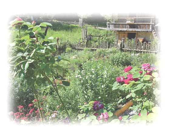 Traditionell und mit viel Liebe werden die alten Bauerngärten im Markus Wasmeier Freilichtmuseum bewirtschaftet. Bei den Bauerngartentagen gibt es Führungen. 	Foto: Museum