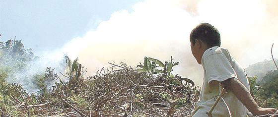 In »Uo in smoke« gehen honduranische Farmer neue Wege beim Anbau.	Foto: VA