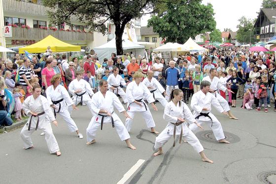 Beim Straßenfest in Höhenkirchen-Siegertsbrunn zeigte die Karate-Abteilung, was sie kann.	Foto: VA