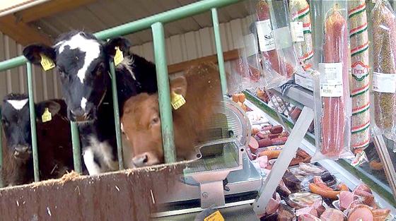 Bei der Videoinstallation »Blinde Kuh« von Marie Newid geht es um den verlorengegangenen Bezug zwischen dem Verbraucher und seiner Nahrung.	Foto: VA