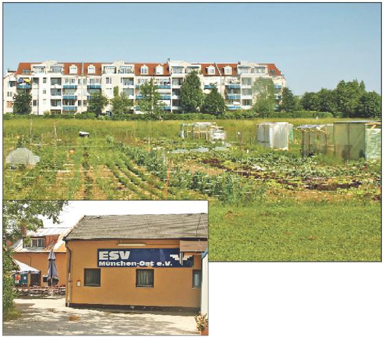 Die Stadt sieht die künftige Schule auf dem Gelände am Michaelianger (oben), wo derzeit die Krautgärten gedeihen. Der BA präferiert den Standort des ESV, der diesen Platz bald räumt.	Fotos: js