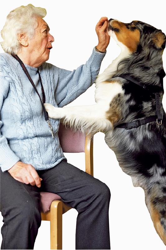 Hunde geben Senioren neue Lebensenergie. Foto: Johanniter/Birgit Betzelt	