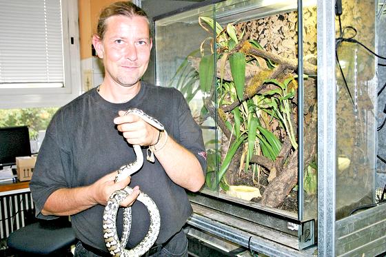 Markus Baur, Leiter der Reptilienauffangstation, mit einer Teppichpython, die die Behörden dem Halter wegnehmen mussten.	Foto: scy