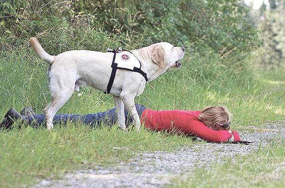 Die Johanniter suchen Rettungshunde.	Foto: Johanniter