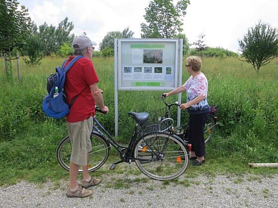 Zahlreiche Informationen bietet der neue Schaukasten im Landschaftspark. Foto: Barbara Berg-Klönhammer