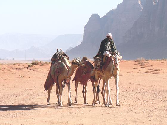 Einen Film zum Thema Wanderungen in Jordanien kann man in Neubiberg ansehen.	Foto: VA
