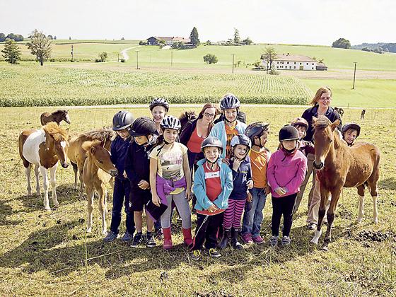Besonders viel Spaß hatten die Kinder beim Streicheln der Pferde auf der Fohlenwiese.	Foto: VA