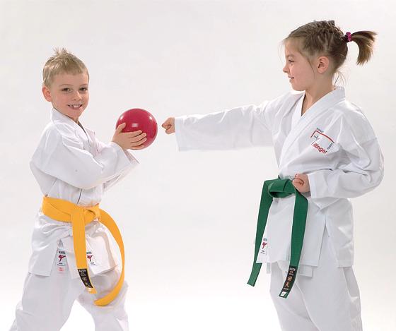 Beim Karate-Club Haimhausen können Kinder  kostenlos hineinschnuppern.	Foto: Verein