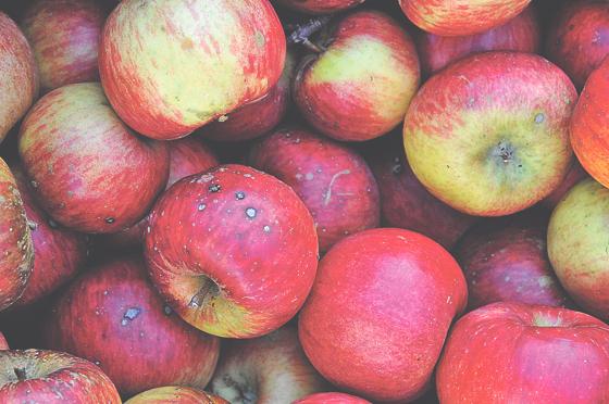 Was man allein aus Äpfeln alles machen kann: Leckeres Apfelmus zum Beispiel. 	Foto: VA