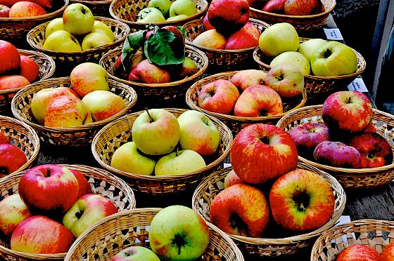 Wer kann rund 500 verschiedene Apfelsorten unterscheiden? Im Botanischen Garten erfährt man jedenfalls viel Wissenswertes über die Früchte.	Foto: VA