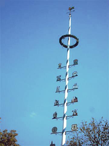 Nach fünf Jahren wird  nun der achte Maibaum am Hans-Mielich-Platz umgelegt und verabschiedet. Foto: VA