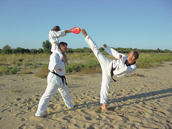 Der TSV Waldtrudering bietet Schnupperkurse für Interessierte am Kampfsport Taekwondo an. Foto:VN