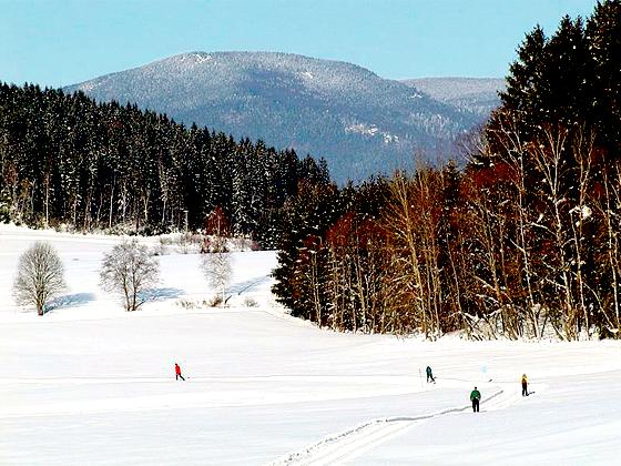 Nordic Walking in seiner ursprünglichen Form mit Skiern an den Füßen: Skilanglauf.	Foto: Verein