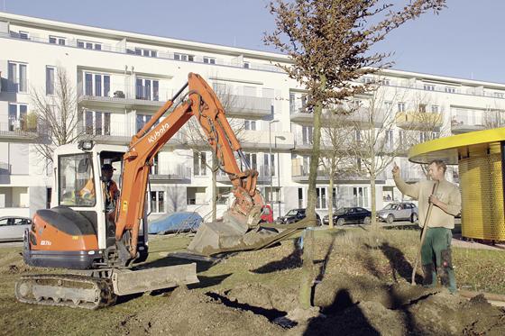 Bei »Kaiserwetter« wurden die ersten 15 Klimabäume in Riem gepflanzt.	Foto: privat