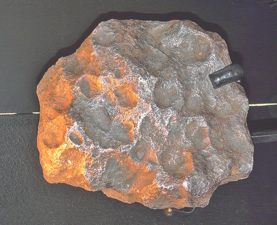 Unser Bild zeigt einen 23 kg schweren, etwa fußballgroßen  Eisenmeteoriten aus Argentinien. 	Foto: Urzeitmuseum