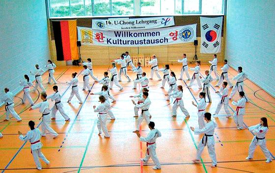 Hätten Sie es gewusst? Das Heimatland der Sportart  Taekwondo ist Korea.	Foto: VA