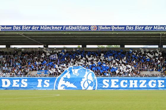 Für Gegner zum Fürchten: Das Grünwalder Stadion. Foto: A. Wild