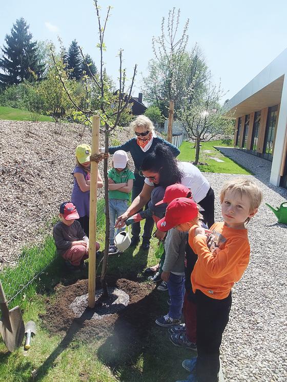 Nachdem der Apfelbaum gepflanzt war, durften die Kinder zusammen mit der Einrichtungsleiterin Susanne Sarközy das Gießen übernehmen.	Foto: Monika Pokorny