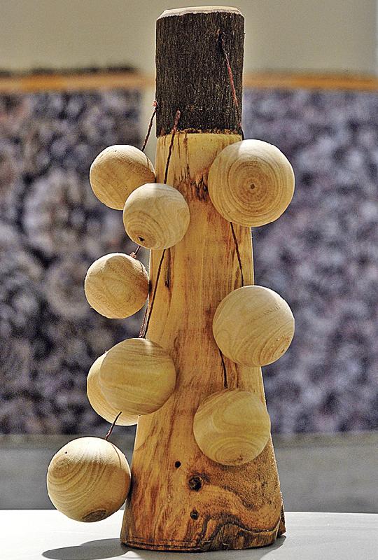 Der »Kanonenkugelbaum« ist nur eines von vielen Beispielen für die Vielfalt der Hölzer.	Foto: VA