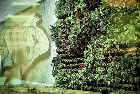Unter der Stadt gibt es einen Dschungel: Der Künstler Michael Pendry hat die grüne Oase unter der Ludwigstraße erschaffen.	Foto: Tina Schmitt