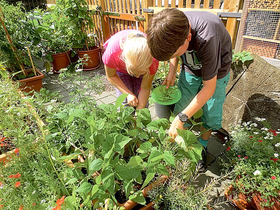 Mit Eifer dabei: Die Kinder bauen im Schulgarten zum Beispiel eigenes Gemüse an.	Foto: privat