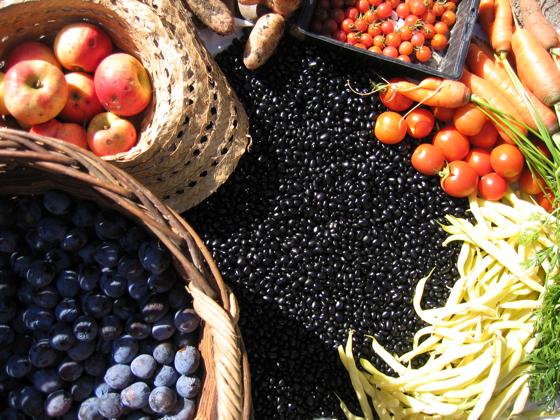 Rund um Obst und Gemüse und das Thema Ernten geht es am Sonntag im ÖBZ.	Foto: ÖBZ