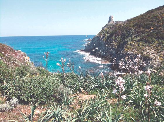 Traumhaft schöne Landschaften erwarten die DAV-Wanderer auf der Tour quer durch Korsika von Nord nach Süd. 	Foto: Jochen Ebenhoch