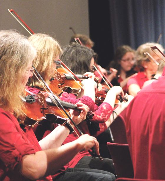 Die Musikschule lädt am 16. Oktober ein zum Kammerorchester-Konzert. 	Foto: VA