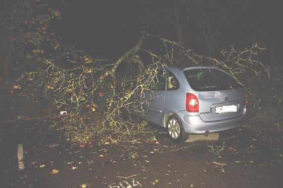 Umgestürzte Bäume ­auf Fahrzeugen mussten unter anderem in dieser Sturmnacht beseitigt werden.	F. FFH