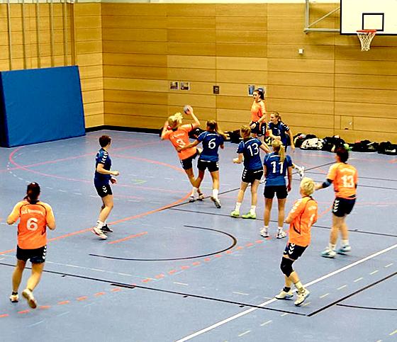 Die Handball-Damen II des SV-DJK Taufkirchen bezwangen den TuS Traunreut.	Foto: VA
