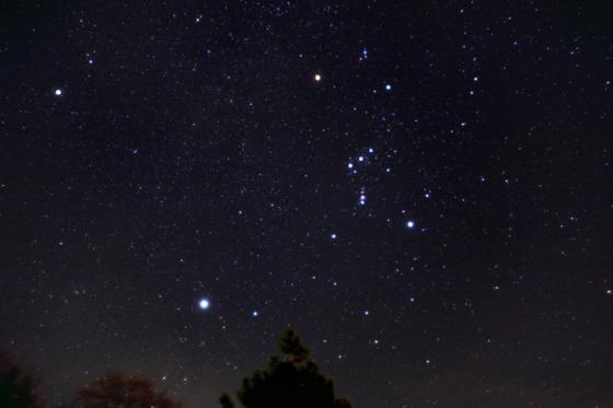 Die Aufnahme zeigt den Wintersternhimmel mit dem Sternbild Orion.	Foto: Peter Stättmayer
