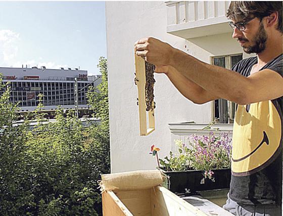 Imkern mit der BienenBox, das ist auch in der Stadt auf dem eigenen Balkon möglich.	Foto: Anna Pawlicki