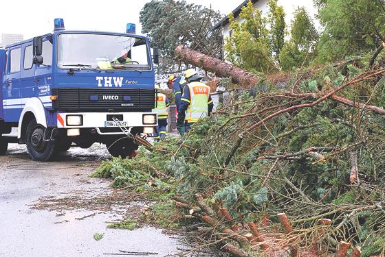 Ehrenamtliche Helfer vom THW München-Ost beseitigten umgestürzte Bäume.	Foto: THW München-Ost
