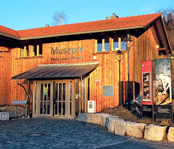 Ab den 1. September bekommt das Museum Wald und Umwelt eine neue Museumsleiterin. 	Foto: Stadt Ebersberg