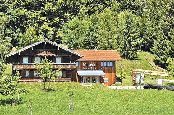 Das Museum Wald und Umwelt veranstaltet am Sonntag Hausführungen und eine Wanderung. Foto: Stadt Ebersberg
