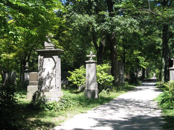 Erhaben, aber auch ein wenig unheimlich präsentiert sich der Südfriedhof.	Foto: MVHS