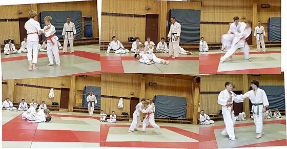 Facetten des vielfältigen Judo-Sports haben die Teilnehmer der Judo-Safai erlebt, gemalt und auch fotografisch festgehalten. 	Foto: VA