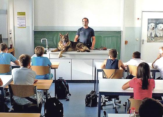 Polizeihund Herkules kann rund 600 Sprengstoffarten aufspüren.	Foto: Bundespolizeiinspektion München