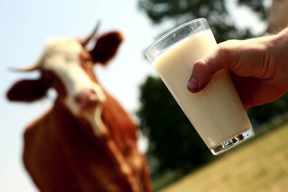 Milch darf nicht auf Kosten anderer »verramscht« werden: »Gute Milch muss ihren Preis haben«, sagt NGG-Geschäftsführer Mustafa Öz. 	F.:  NGG